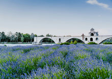 將圖片載入圖庫檢視器 「二人成行」南法普羅旺斯小城故事9天中文私家小團