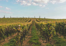 将图片加载到图库查看器,「二人成行」北西班牙 x 法国酒乡10 天中文私家小团