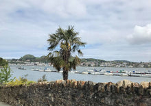 将图片加载到图库查看器,英国湖区、峰区国家公园、北威尔士中文3日游|曼城往返