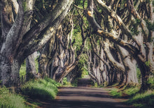 将图片加载到图库查看器,「2026年6-10月限定中文团」爱尔兰+北爱尔兰+英格兰+苏格兰7日游牛津线 - 伦敦上团,可选伦敦/伯明翰/曼城下团(周四出发)