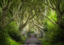 Load image into Gallery viewer, 8-Day Ireland + Northern Ireland + England + Scotland Tour (Cambridge & London) - Departure from London/Birmingham/Manchester, Arrival in London (Friday Departure)