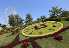 將圖片載入圖庫檢視器 「二人成行」德國、瑞士童話浪漫7天中文私家小團