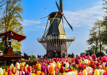 将图片加载到图库查看器,「二人成行」发现荷兰经典6天中文私家小团