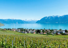 將圖片載入圖庫檢視器 「二人成行」瑞士冰河x 法國香檳9天中文私家小團