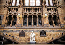 将图片加载到图库查看器,自然历史博物馆中文包团讲解 Natural History Museum Chinese Guided Tour