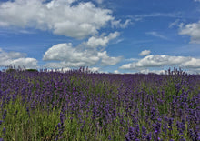 将图片加载到图库查看器,「中文团」英国南部海岸线+巴斯+巨石阵+康沃尔+科茨沃尔德地区4日游 - 伦敦往返(周日出发)