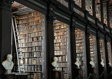 将图片加载到图库查看器,「邮轮岸上观光」都柏林中文一日游