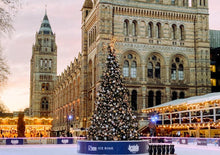 将图片加载到图库查看器,「限定圣诞中文团」英国伦敦、牛津、比斯特购物村圣诞黑五狂欢3日之旅 — 曼城/伯明翰往返(周五出发)