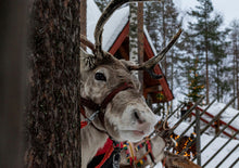 将图片加载到图库查看器,「冬季12月限定」横贯北欧三国极光破冰6日游
