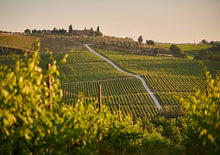 將圖片載入到圖庫檢視器, 「二人成行」義大利小城故事深度9天遊中文私家小團