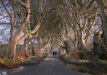 将图片加载到图库查看器，「品质英文团」英国北爱尔兰巨人之路+黑暗树篱一日游（都柏林往返）
