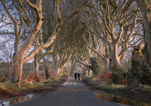 「品质英文团」英国北爱尔兰巨人之路+黑暗树篱一日游（都柏林往返）