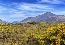 将图片加载到图库查看器,「品质小团」英国爱尔兰全景都柏林出发9日游