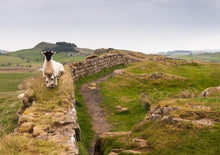 將圖片載入圖庫檢視器 英国北威尔士史诺多尼亚雪墩国家公园﹢康威城堡﹢切斯特「世界文化遗产」 一日游