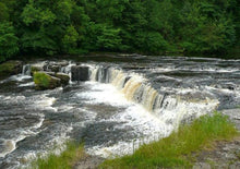 将图片加载到图库查看器,伦敦火车往返 ⇌「西北部宝藏」英国约克﹢惠特比﹢方廷斯修道院﹢约克郡谷地﹢峰区国家公园 | 3日游