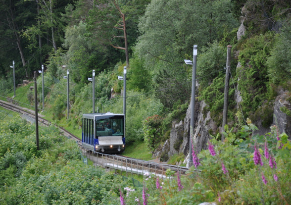 Limited-time Chinese-language tour from May to October: 7-day Norwegian fjord tour, round trip from Oslo (departing every Monday). 