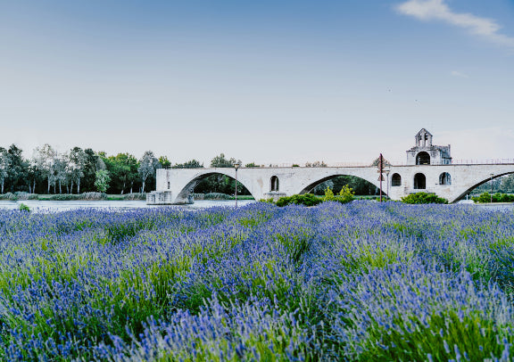 「二人成行」南法普罗旺斯小城故事9天中文私家小团