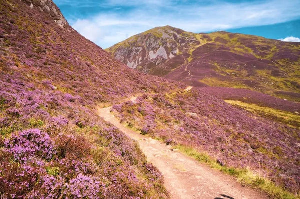 凯恩戈姆国家公园