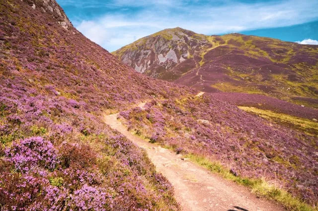 凯恩戈姆国家公园