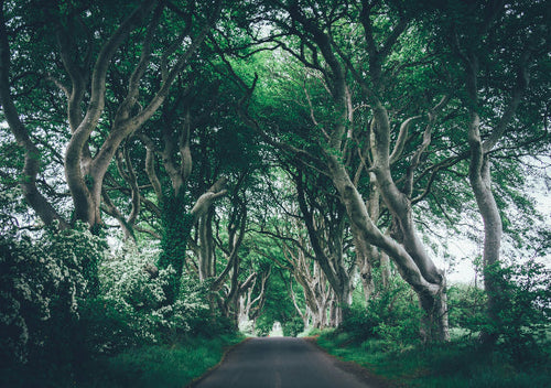 「2026年6-10月限定中文團」愛爾蘭+北愛爾蘭+英格蘭+蘇格蘭6日遊 - 倫敦/伯明翰/曼城往返（週五出發）