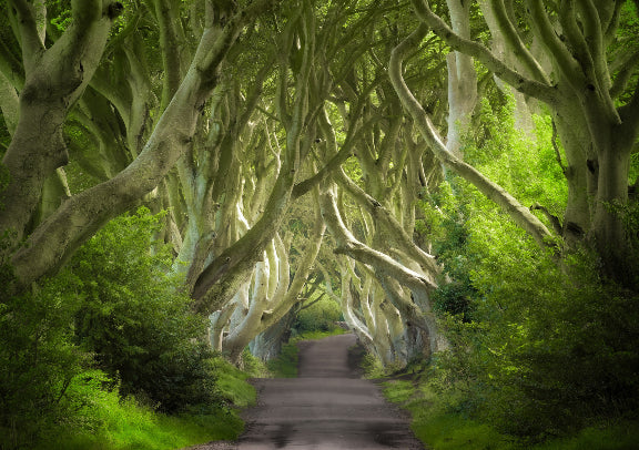 爱尔兰+北爱尔兰+英格兰+苏格兰8日游牛津剑桥线 - 伦敦往返（周四出发）