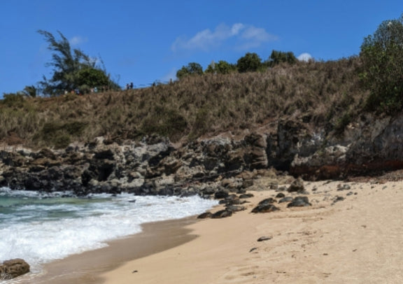 Ho'okipa Beach Park