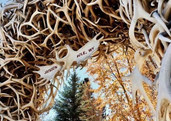 Jackson Hole Antler Arch Square