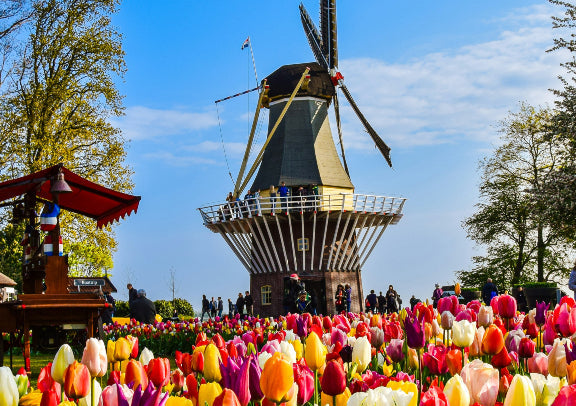 「二人成行」发现荷兰经典6天中文私家小团