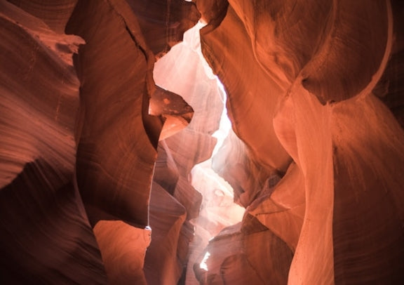 8-Day Los Angeles, Las Vegas, Antelope Canyon, San Francisco & 3 National Parks Chinese Tour of the Western US