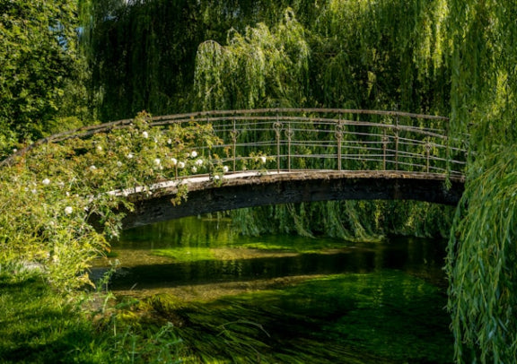 莫內故居与花園
