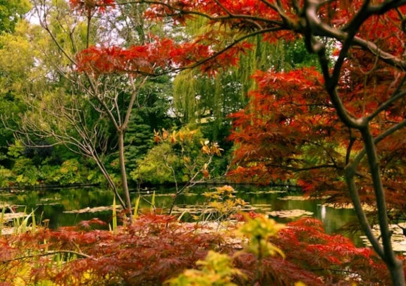 「中文小团」法国诺曼底浪漫风情5日游