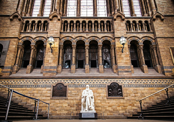 Natural History Museum Chinese Guided Tour 