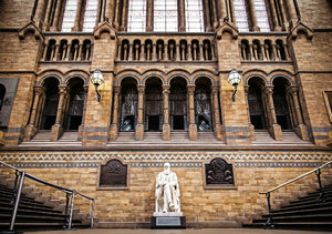 自然歷史博物館中文包團講解 Natural History Museum Chinese Guided Tour