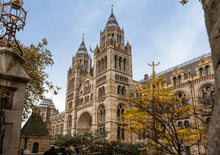 將圖片載入圖庫檢視器 自然歷史博物館中文包團講解 Natural History Museum Chinese Guided Tour
