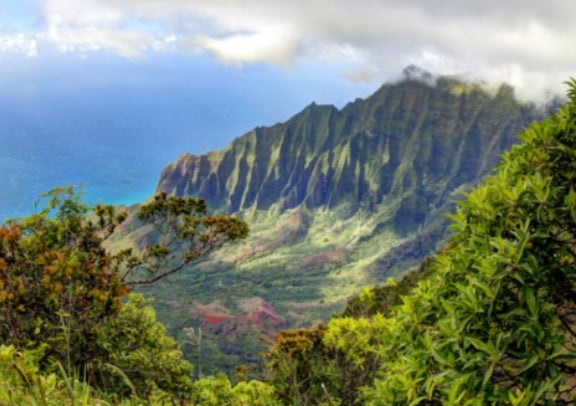 Nuuanu Pali Lookout