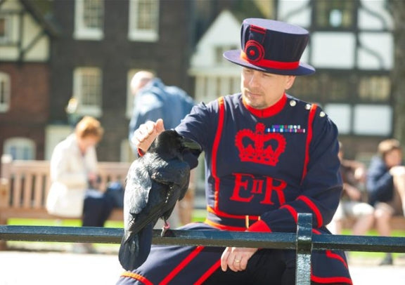 皇家侍卫 Beefeater