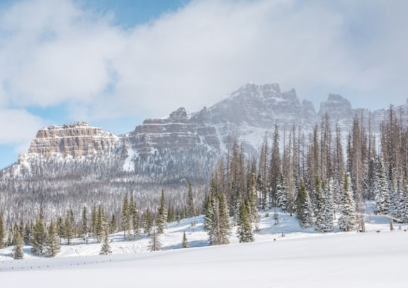 [Chinese Boutique Small Group Tour] 5-Day Salt Lake City + National Elk Refuge + Grand Teton National Park + Yellowstone National Park Tour