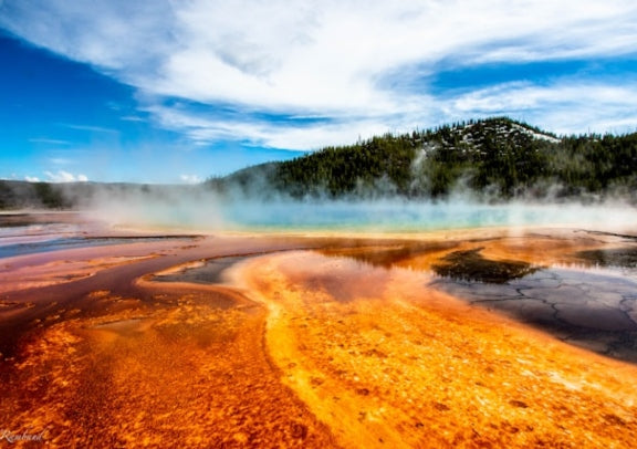 [Chinese Boutique Small Group Tour] 5-Day Salt Lake City + National Elk Refuge + Grand Teton National Park + Yellowstone National Park Tour