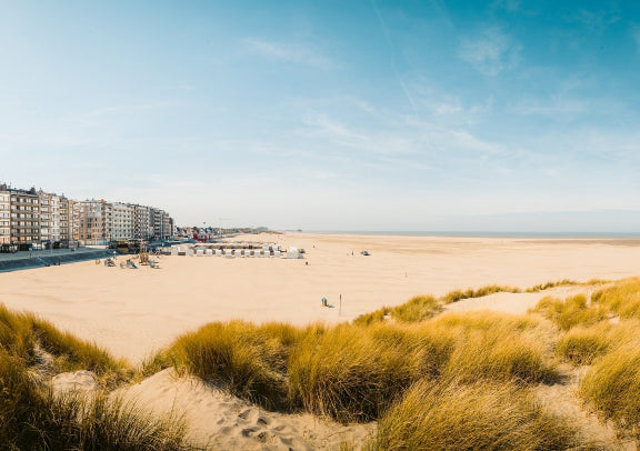 [2027 Cruise] Royal Caribbean Mariner of the Seas 4-Day Zeebrugge, Belgium Cruise - Southampton Round Trip 