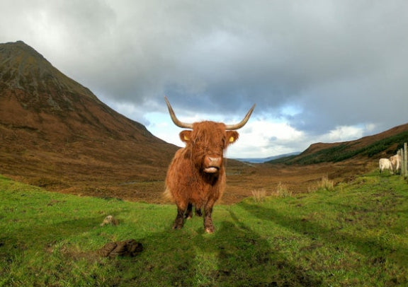 7-Day "China 4-Star Group" England, Scotland & Highlands Tour