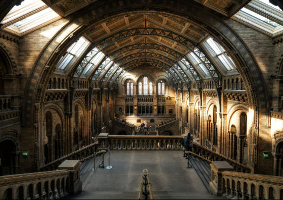 Natural History Museum Chinese Guided Tour 