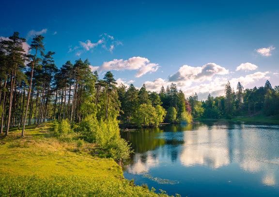 English-speaking Tour: 8-Day England, Scotland, and the White Cliffs Tour, Cambridge, Oxford, and London - Roundtrip (Saturday Departure) 