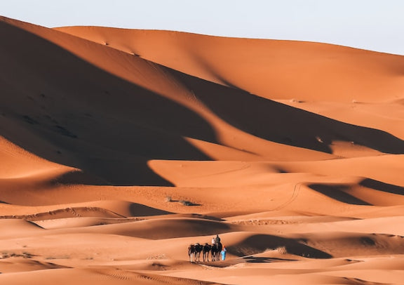 "Chinese-speaking tour" 7-day Morocco fantasy tour featuring North African spy thrillers, round trip from Casablanca/Marrakech (departing Tuesday/Saturday) 