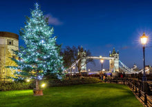 Load image into Gallery viewer, [12/24 Christmas Eve English Tour] London Christmas Lights Night Tour 
