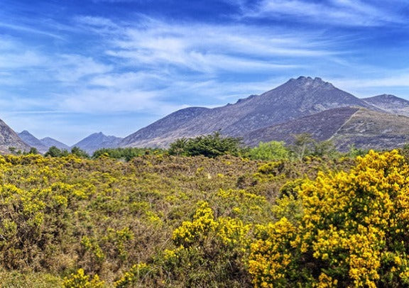 「品质小团」英国爱尔兰全景都柏林出发9日游 