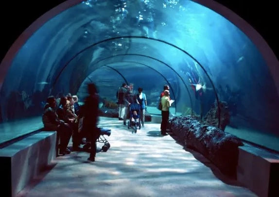 SEA LIFE 伦敦水族馆